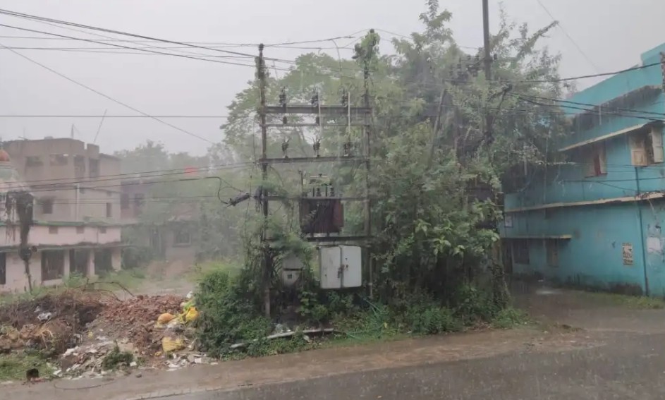 झाड़ियों में घिरा ट्रांसफार्मर बना खतरे की घंटी, बरसात में हादसे की बढ़ी आशंका